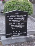 DSC06047, O'DONOGHUE.JPG